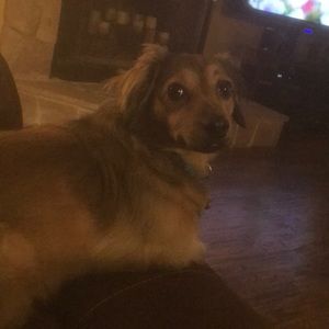 Meet your Posher, Max